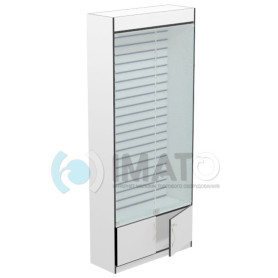 В-64-Э Витрина с подсветкой и стенкой из экономпанели 